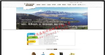 閔行企業(yè)網(wǎng)站建設(shè) 選擇專業(yè)設(shè)計(jì)，賦能上海企業(yè)發(fā)展