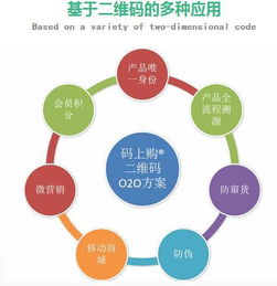 構(gòu)建商品全生命周期防護(hù) 防偽防竄貨溯源與積分二維碼系統(tǒng)軟件外包之道